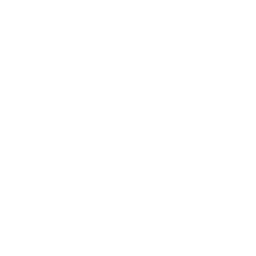 Sachis Detailing